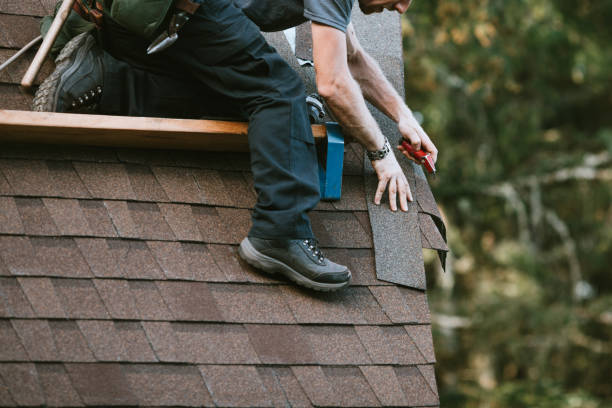 Best Roof Gutter Cleaning  in Great Falls, VA